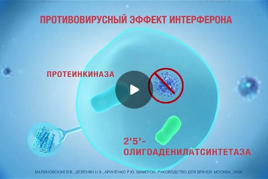 video-05-an