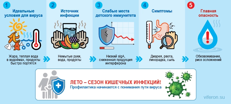 Летний вирус