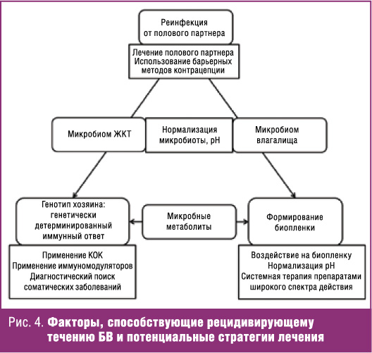 Прегравидарная подготовка супружеской пары с участием обоих партнеров при частых рецидивах бактериального вагиноза-14