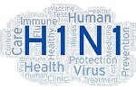Свиной грипп типа А (H1N1) Свиной грипп типа А (H1N1)